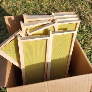 Beekeeping Equipment 10 Medium Frames + 10 Foundation ASSEMBLED For Super Boxes